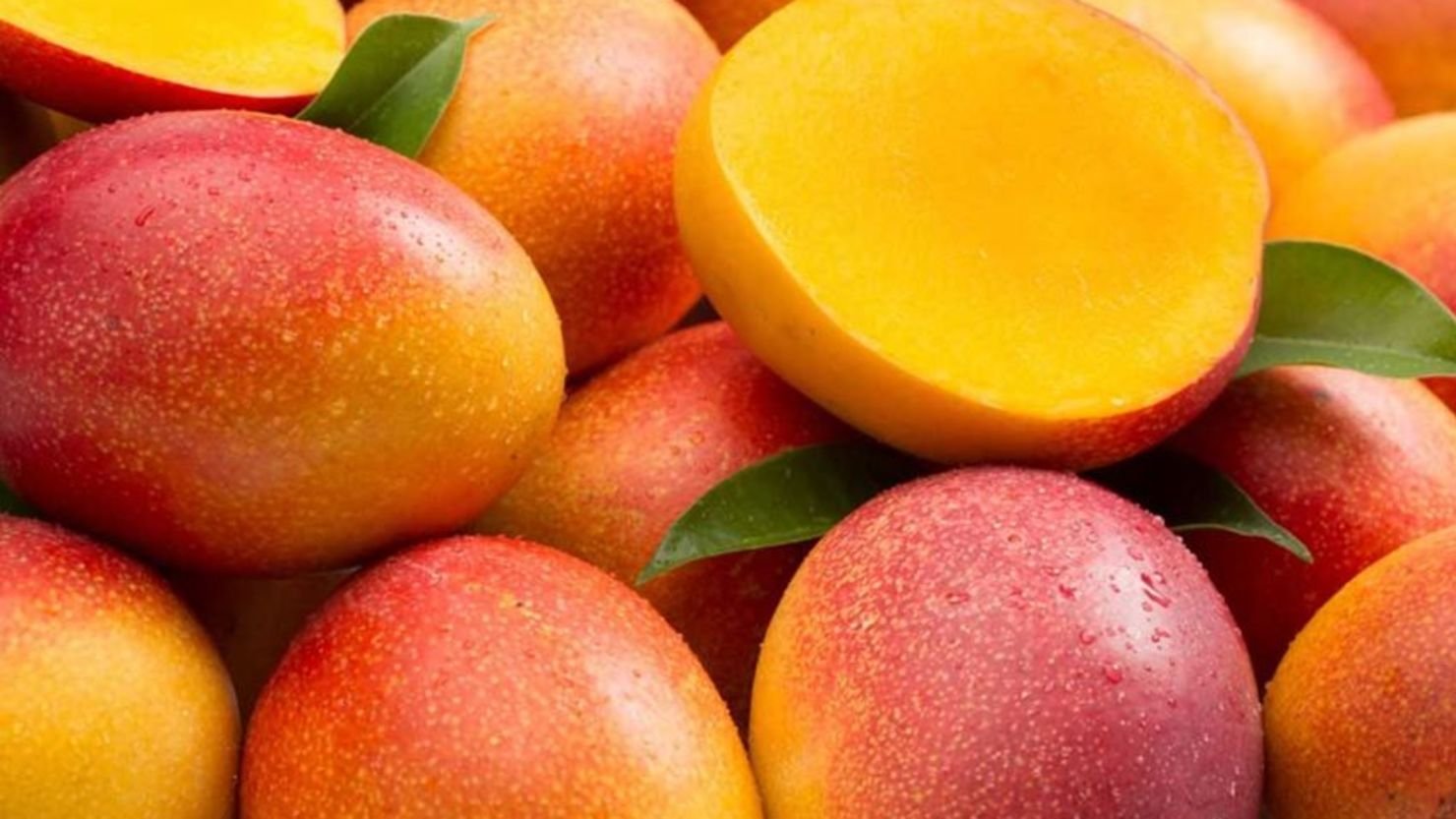 Mango